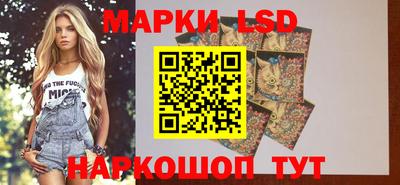стаф Будённовск
