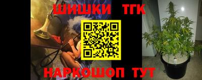 стаф Будённовск