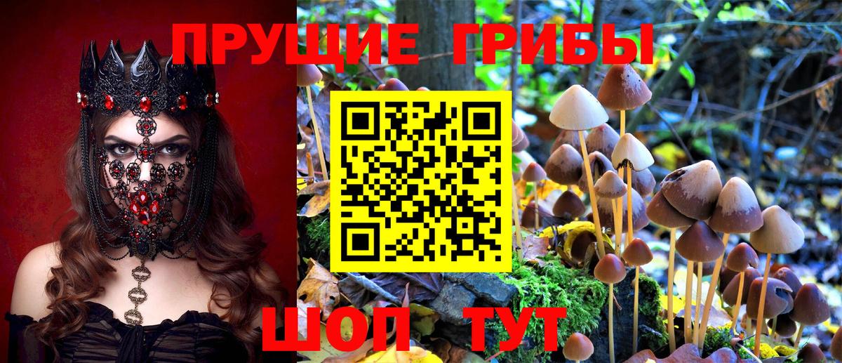 Псилоцибиновые грибы Cubensis Россошь