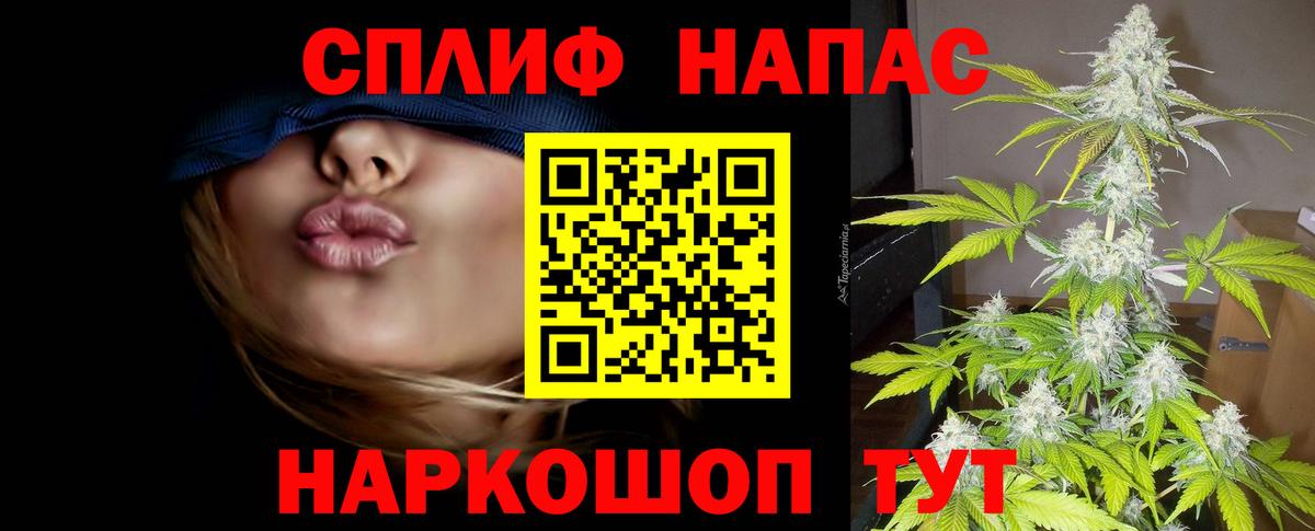 МАРИХУАНА сатива Россошь
